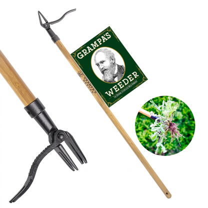 🔥[5𝟎% 𝐎𝐅𝐅 𝐋𝐀𝐒𝐓 𝐓𝐇𝐑𝐄𝐄 𝐃𝐀𝐘𝐒]The Original Stand Up Weed Puller Tool with Long Handle - Made with Real Bamboo & 4-Claw Steel Head Design - Easily Remove Weeds Without Bending, Pulling, or Kneeling-JKL