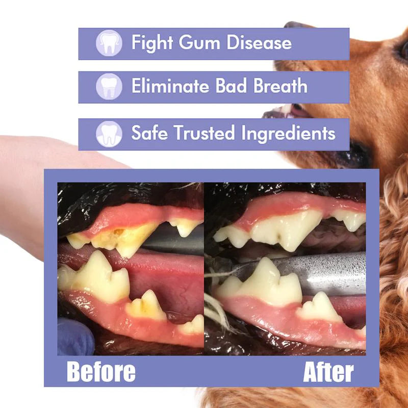 Pet Oral Care Spray – Fresh Breath & Cleaner Teeth, No Brushing Needed-BP