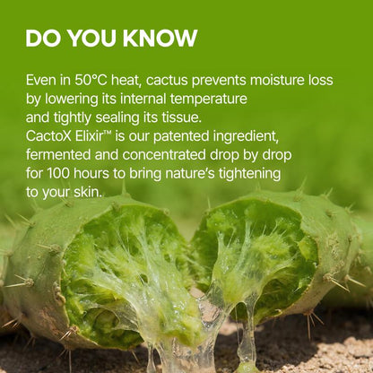 CACTOX V-LIFTING MEWING BAND with Cactus Cooling Reduce Puffiness & Pore Tightening for Visible Pore Care Skin Repair-OA