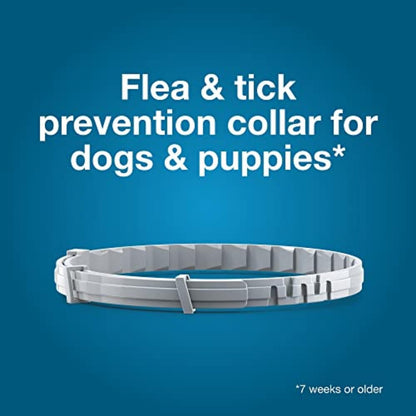 🔥[5𝟎% 𝐎𝐅𝐅 𝐋𝐀𝐒𝐓 𝐓𝐇𝐑𝐄𝐄 𝐃𝐀𝐘𝐒]Seresto Flea & Tick Collar For Dogs Over 18 lbs., Treatment & Prevention, Vet-Recommend, 8 Month Protection-JKL