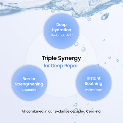 🔥[5𝟎% 𝐎𝐅𝐅 𝐋𝐀𝐒𝐓 𝐓𝐇𝐑𝐄𝐄 𝐃𝐀𝐘𝐒]BIODANCE Hydro Cera-nol Real Deep Mask, Hydrating Overnight Hydrogel Face Mask, Moisturizing, Redness Reducing, Quick Soothing, After Sun Care, Sunburn Relief, Korean Skin Care |1.19oz(34g) x4ea-JKL