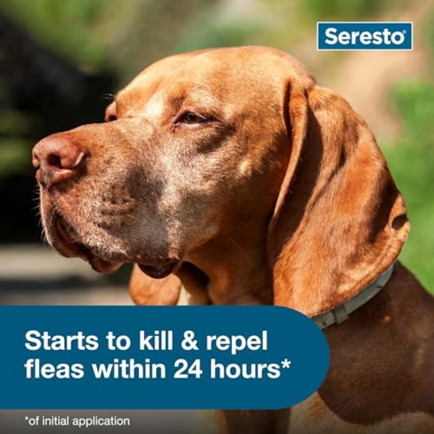 🔥[5𝟎% 𝐎𝐅𝐅 𝐋𝐀𝐒𝐓 𝐓𝐇𝐑𝐄𝐄 𝐃𝐀𝐘𝐒]Seresto Flea & Tick Collar For Dogs Over 18 lbs., Treatment & Prevention, Vet-Recommend, 8 Month Protection-JKL
