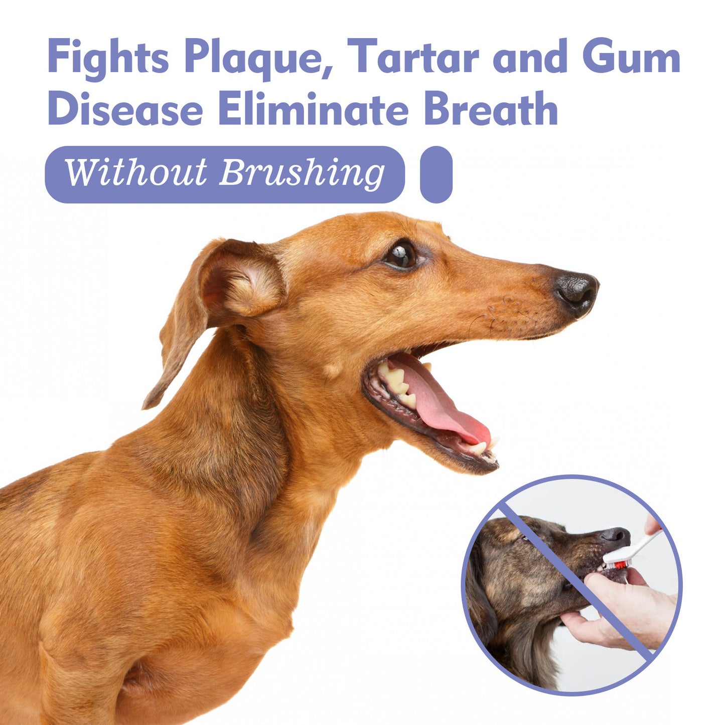 Cat Dog Teeth Cleaning Spray, Removes Plaque Fresh Breath, Pet Oral Care Mist, Dental Health for Pets, Easy Use-OA