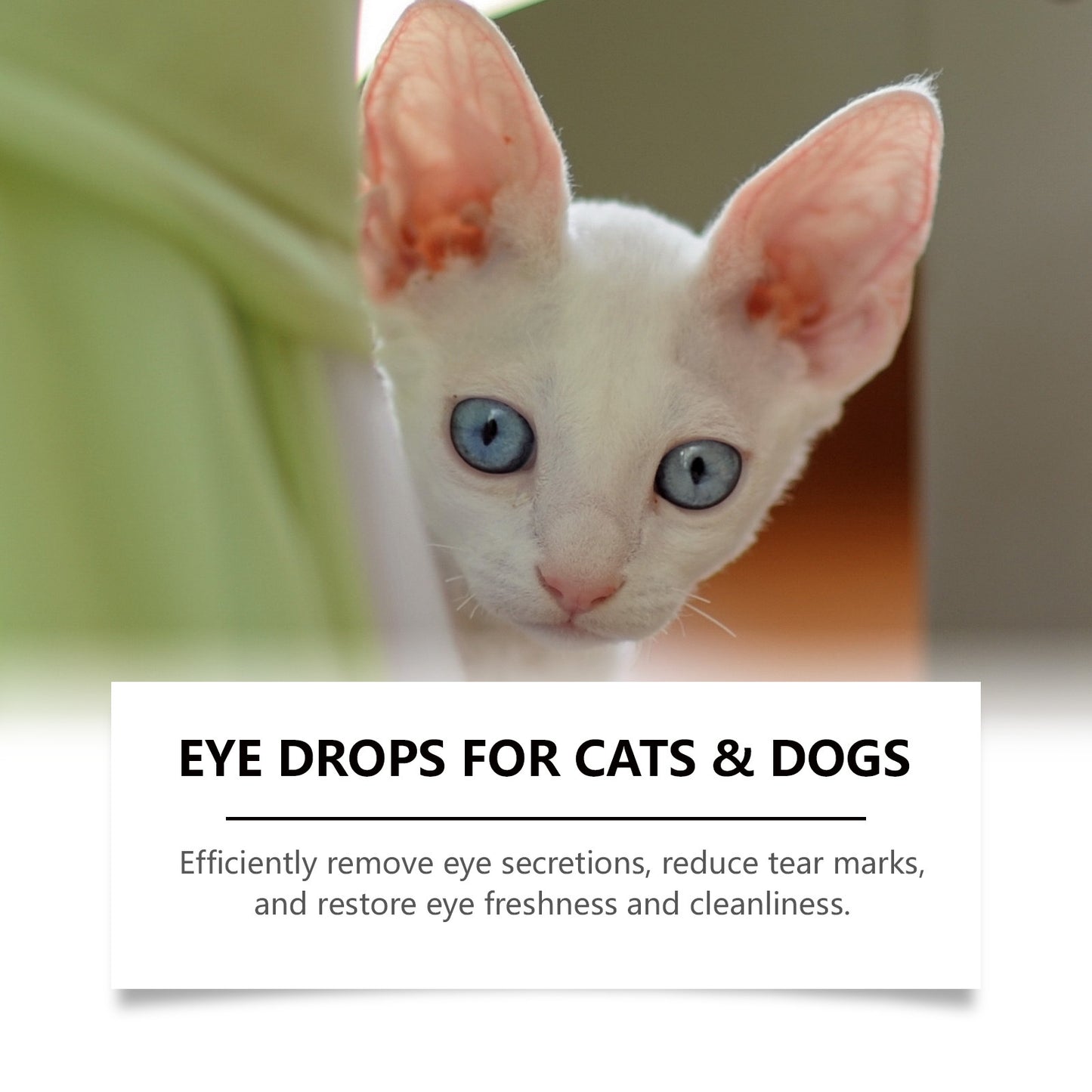 Pet Eye Drops-Relieves Conjunctivitis, Dry Eyes, Cataracts, and Keratitis-OA