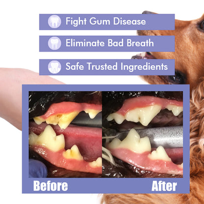 Cat Dog Teeth Cleaning Spray, Removes Plaque Fresh Breath, Pet Oral Care Mist, Dental Health for Pets, Easy Use-OA