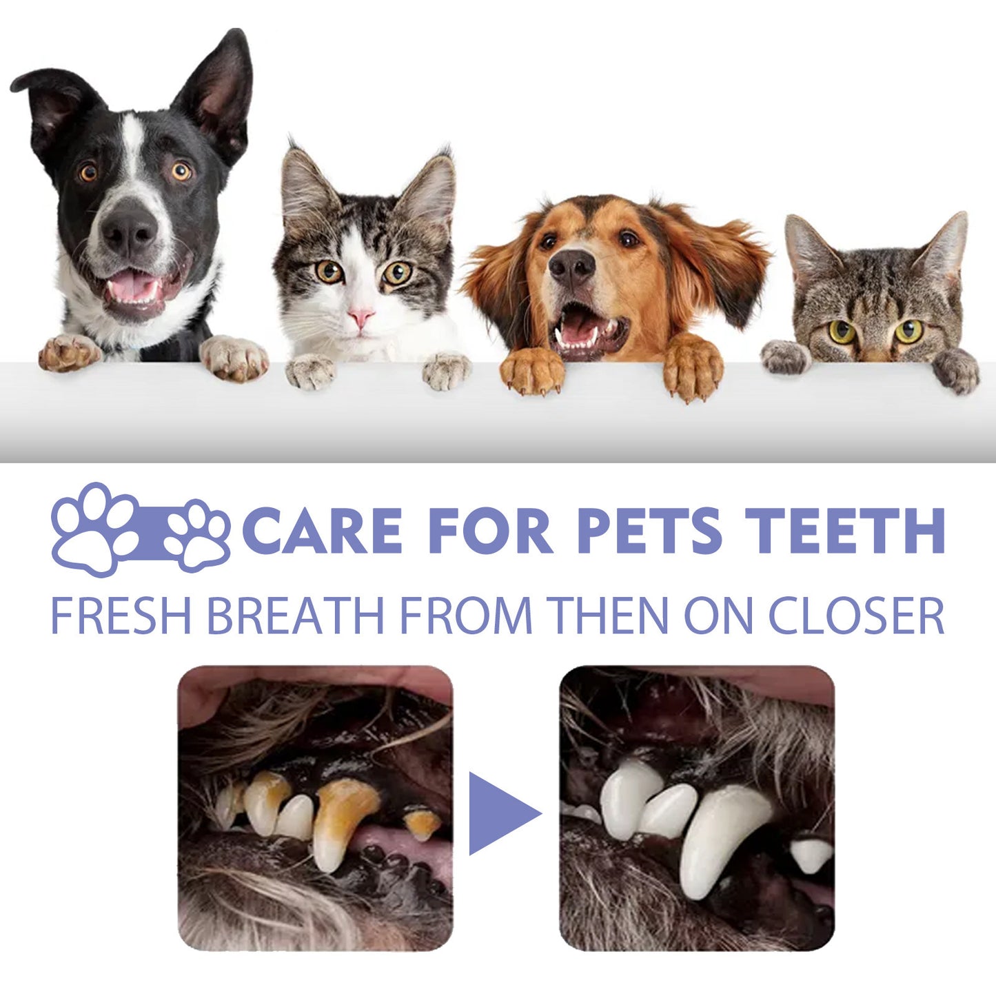 Cat Dog Teeth Cleaning Spray, Removes Plaque Fresh Breath, Pet Oral Care Mist, Dental Health for Pets, Easy Use-OA